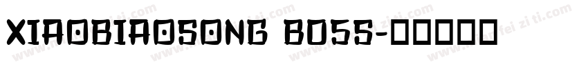 XIAOBIAOSONG B05S字体转换